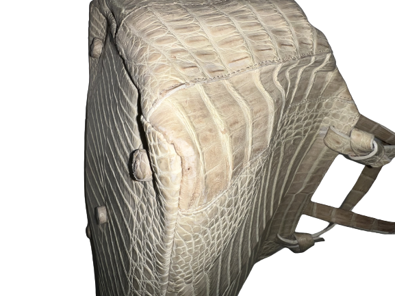 Nancy Gonzalez Crocodile Handbag