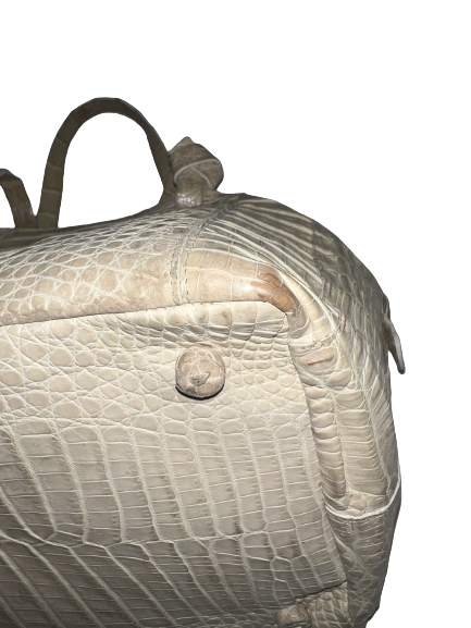 Nancy Gonzalez Crocodile Handbag